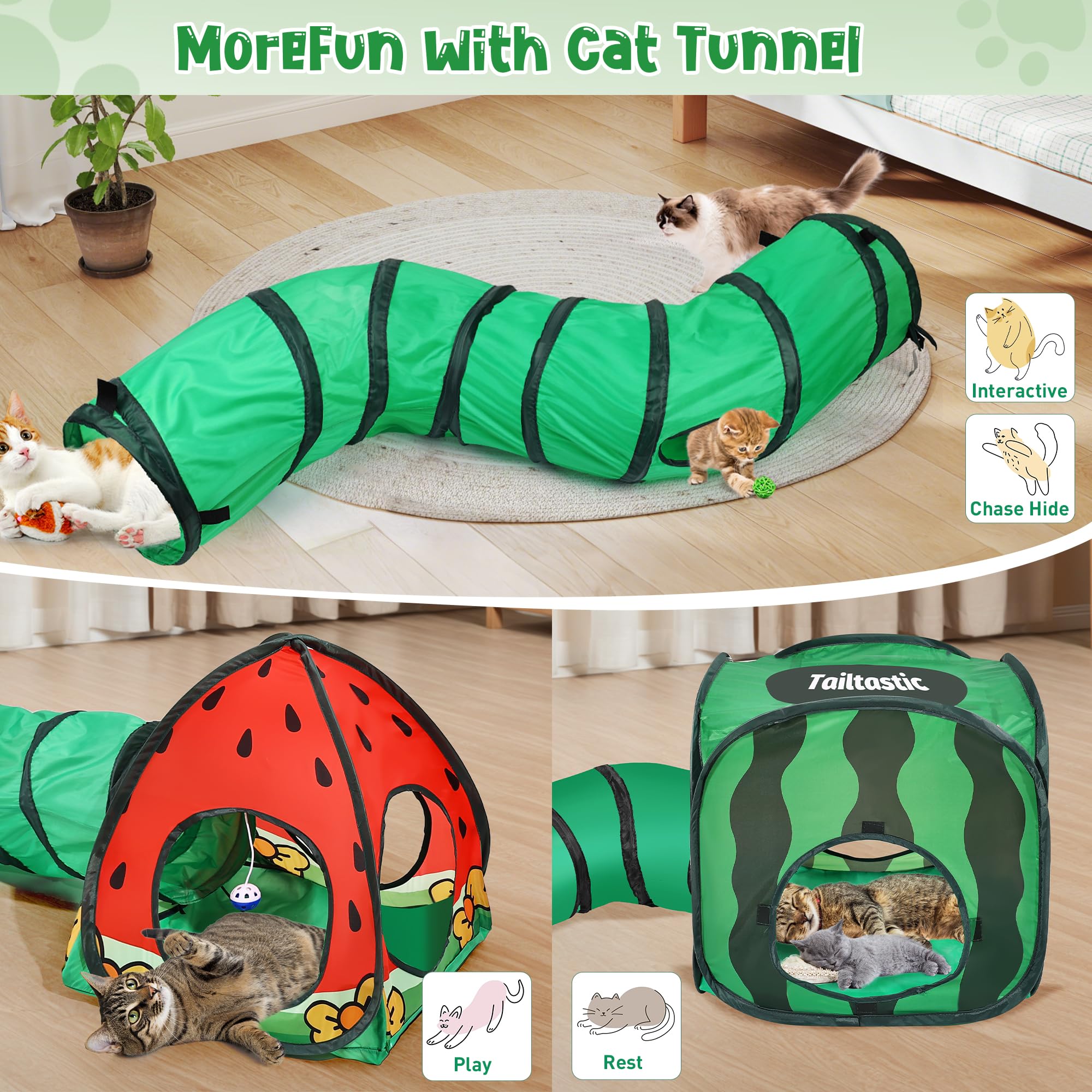 TailTastic cat tunnel showing the circular peek-a-boo portals between play spaces.