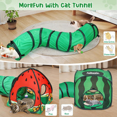 TailTastic cat tunnel showing the circular peek-a-boo portals between play spaces.