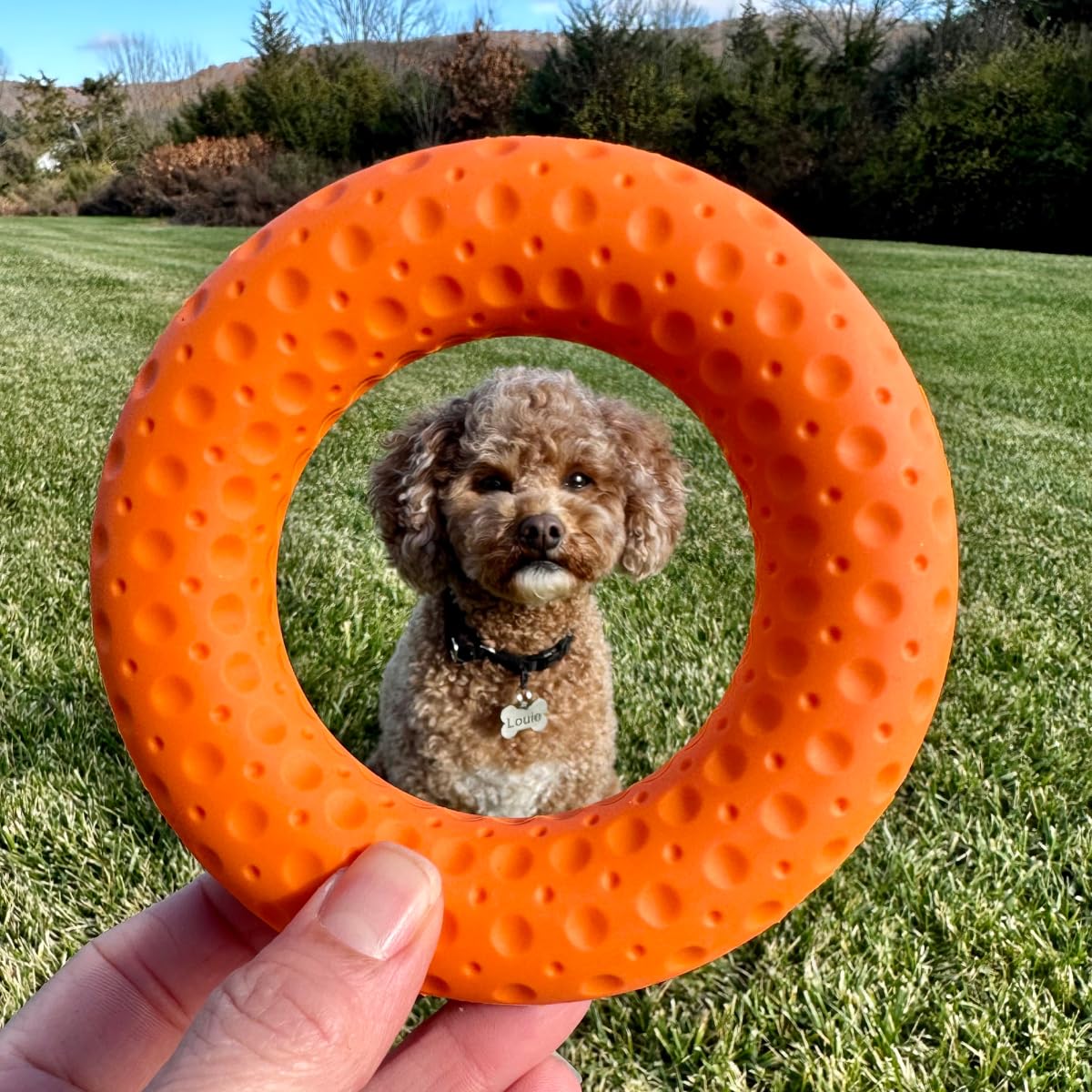Tall Tails G.O.A.T. Sport Fetch Ring shown as a medium-size toy.