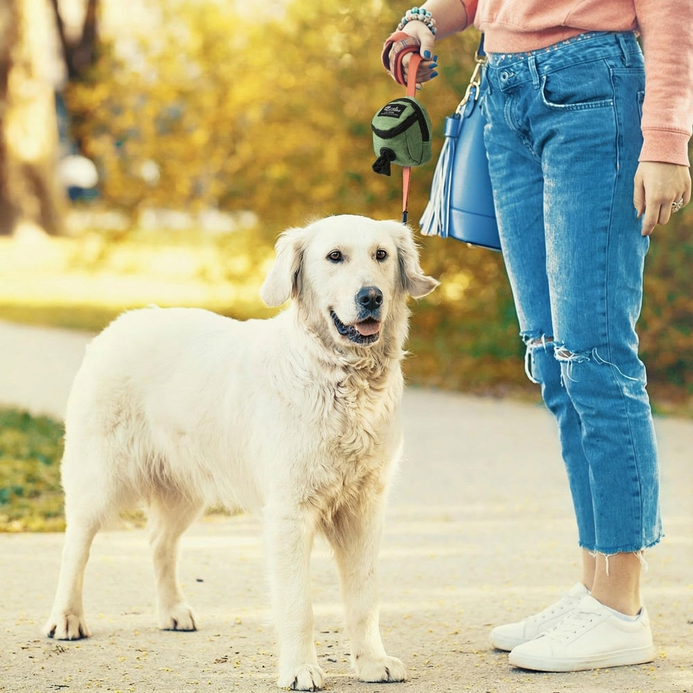 Talltalk dog treat pouch shown with its zippered opening.