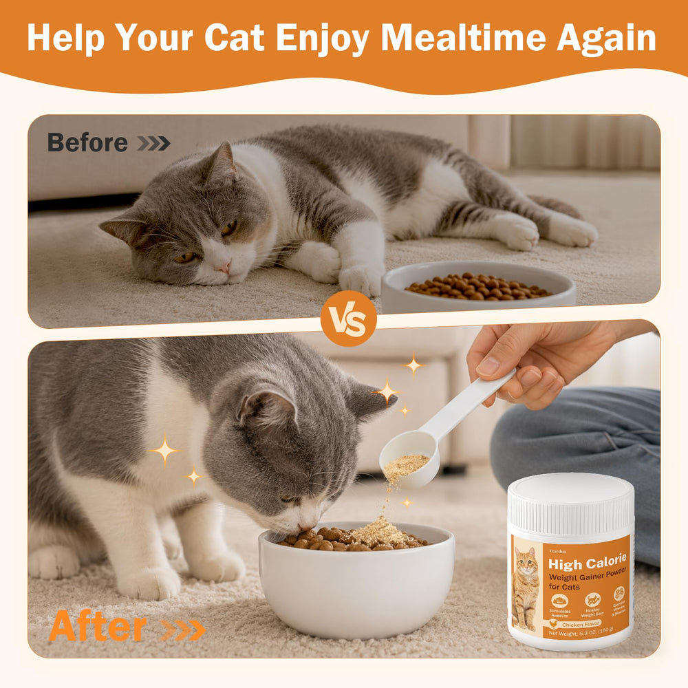 Teardux cat calorie powder stirred into broth.
