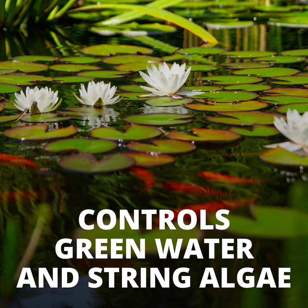 Tetra Pond Algae Control Treatment for algae control in a fountain.