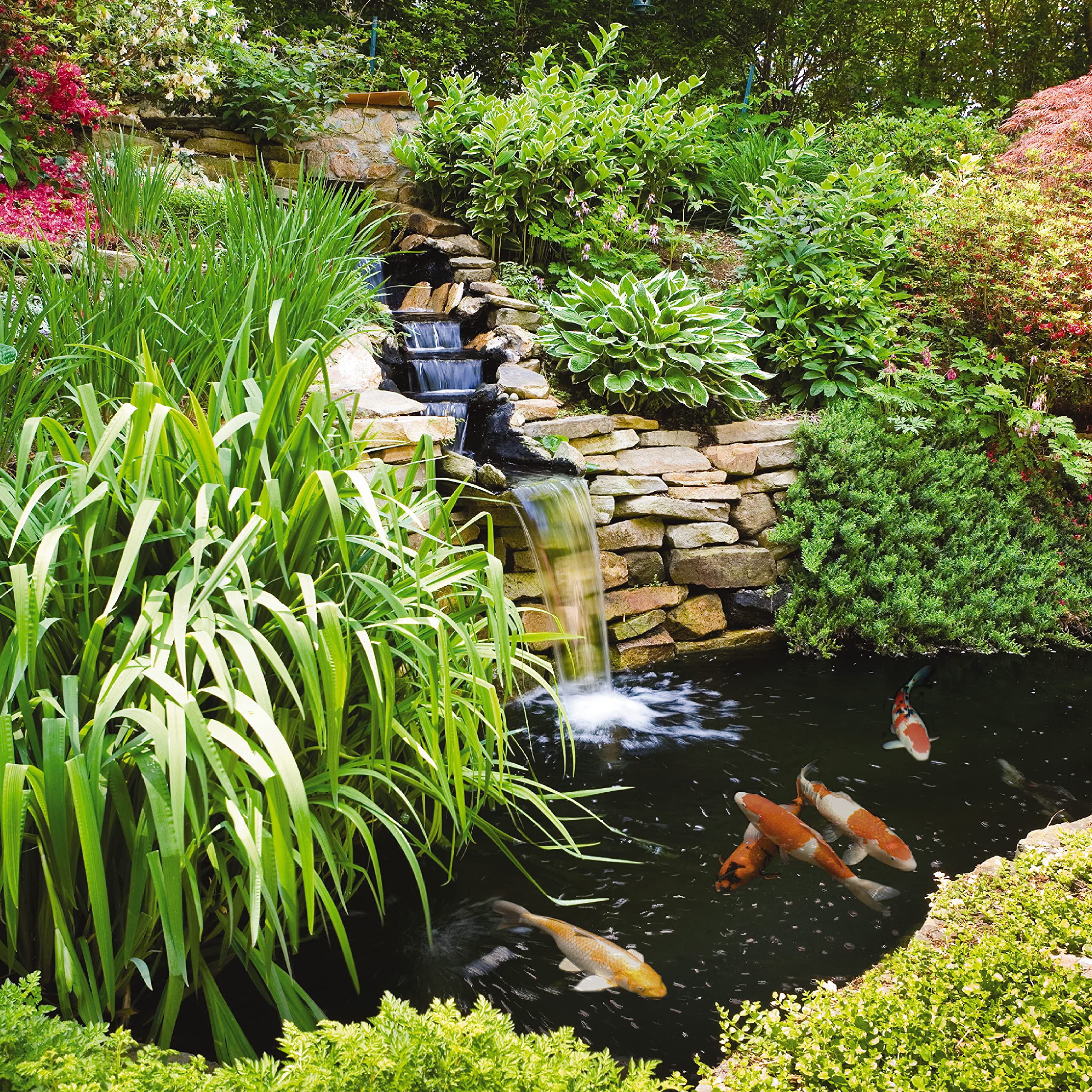 Tetra Pond Algae Control Treatment for a pond affected by green water algae.