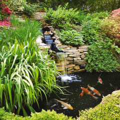 Tetra Pond Algae Control Treatment for a pond affected by green water algae.