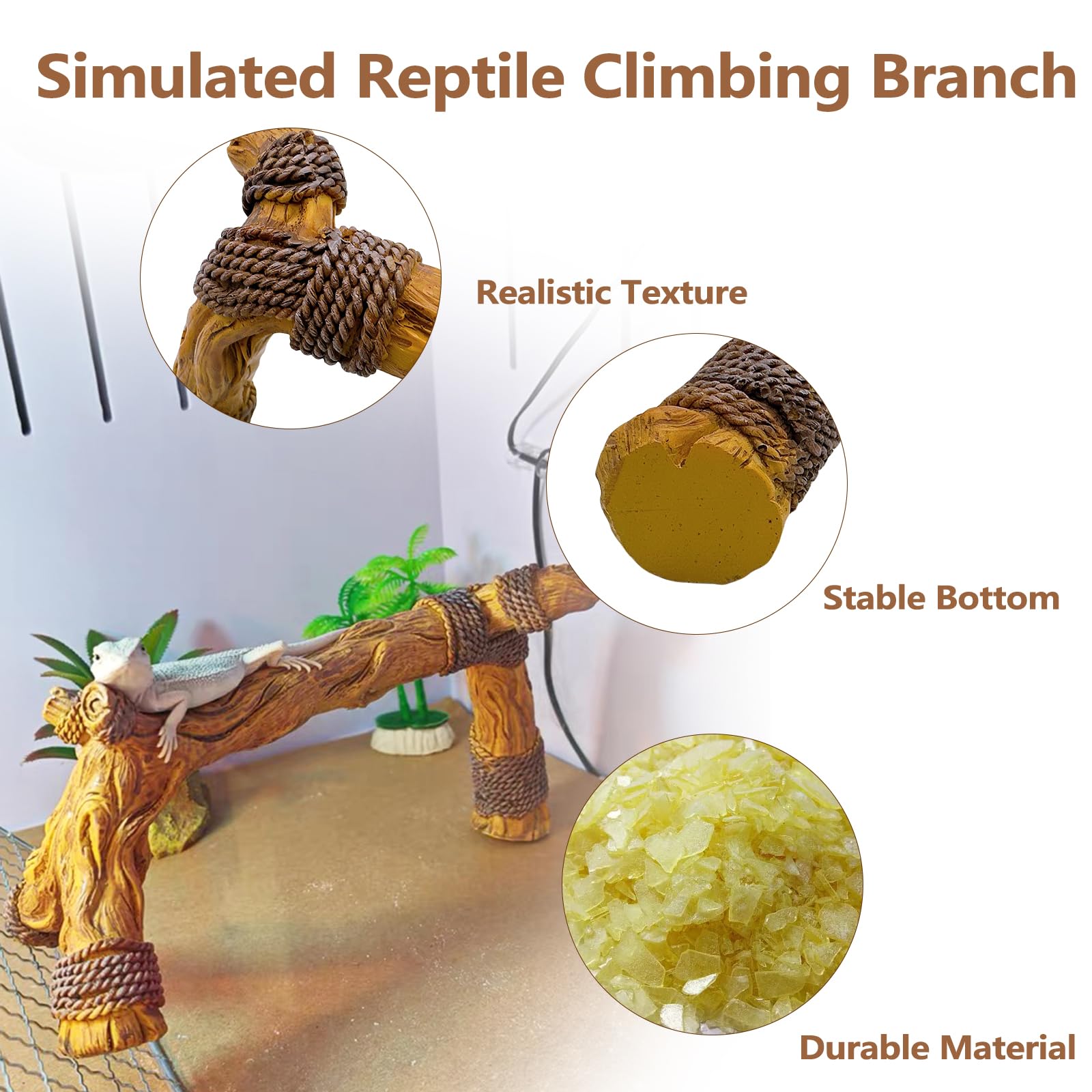 Tfwadmx reptile climbing branch showing its three points of support.