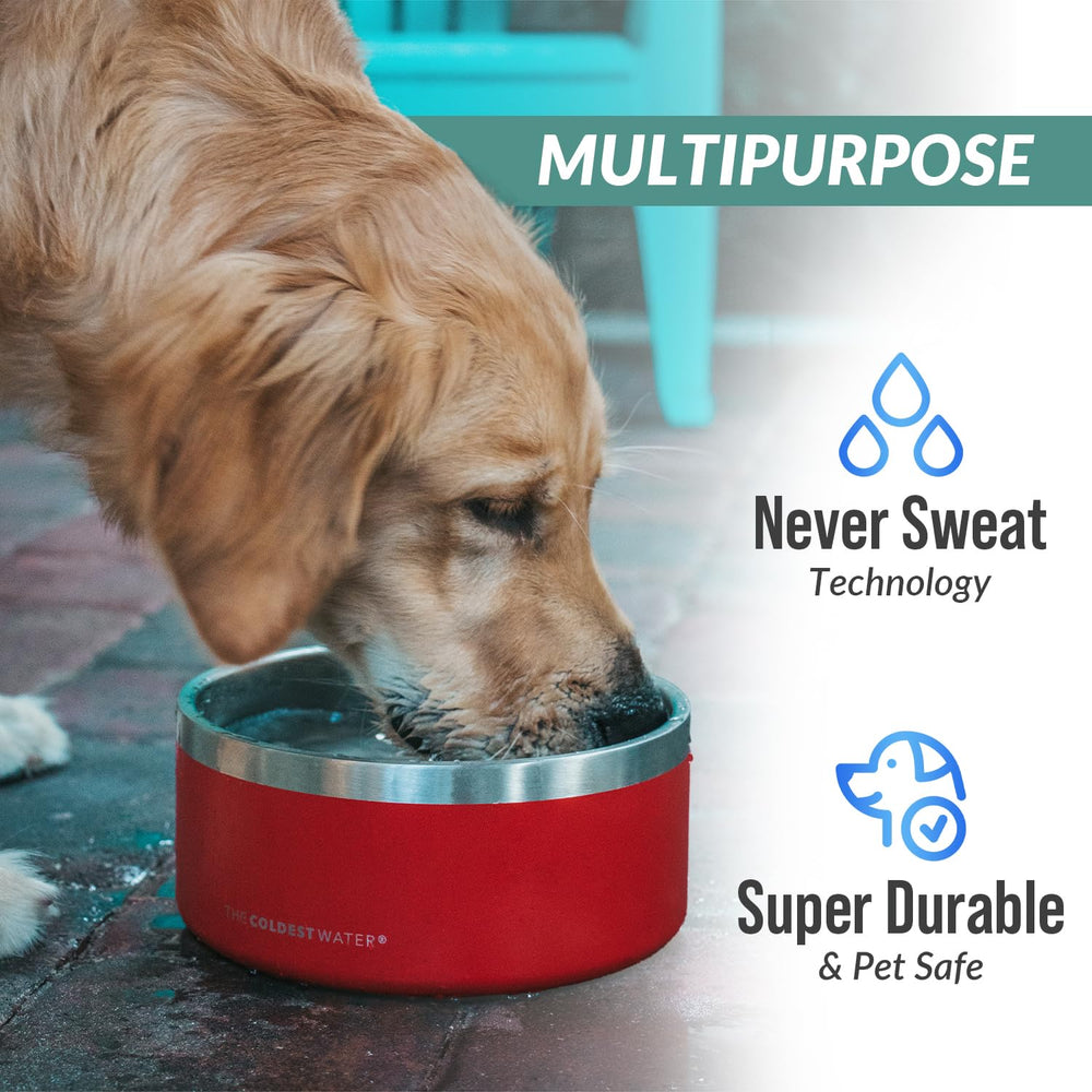 The Coldest Water dog bowl used to serve a pet's food.