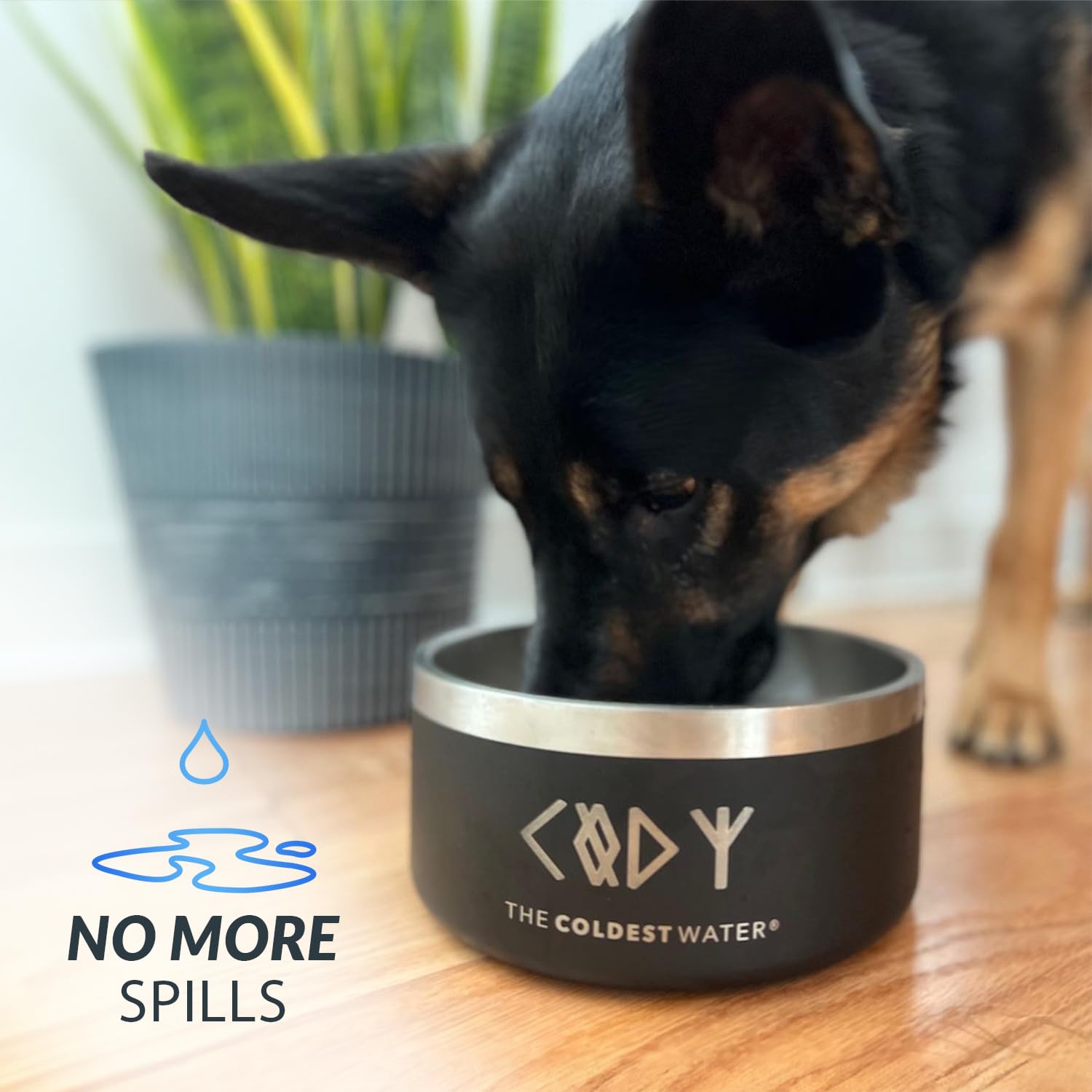 The Coldest Water dog bowl holding water for a pet.