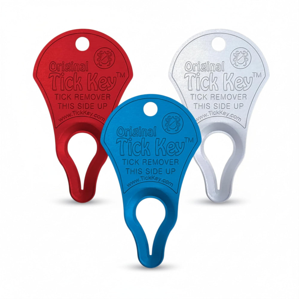 The Tick Key tick removal tool shown from the front.