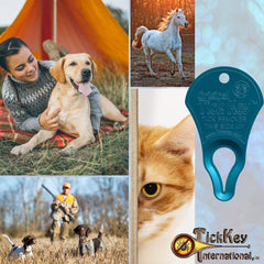 The Tick Key tick removal tool shown for outdoor carrying.