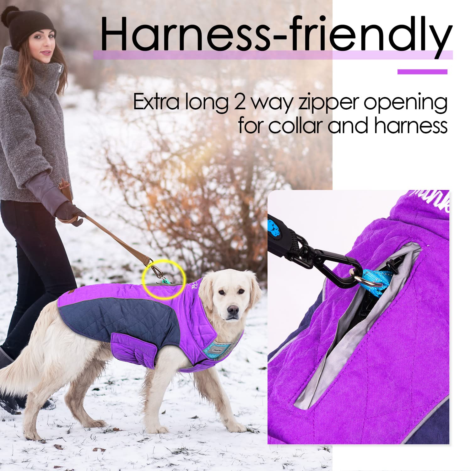 ThinkPet dog coat worn by a dog for an outdoor walk.