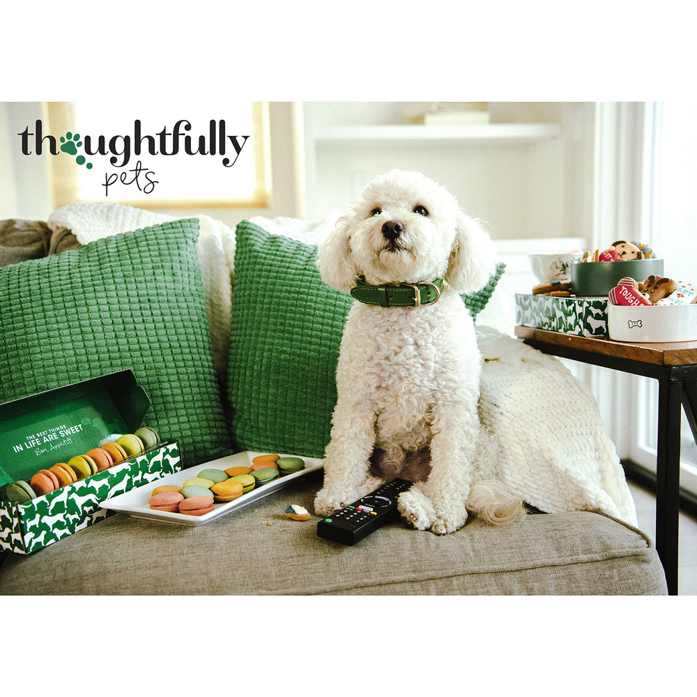 Thoughtfully Puppy Love dog treat gift set displaying the eight included biscuits.