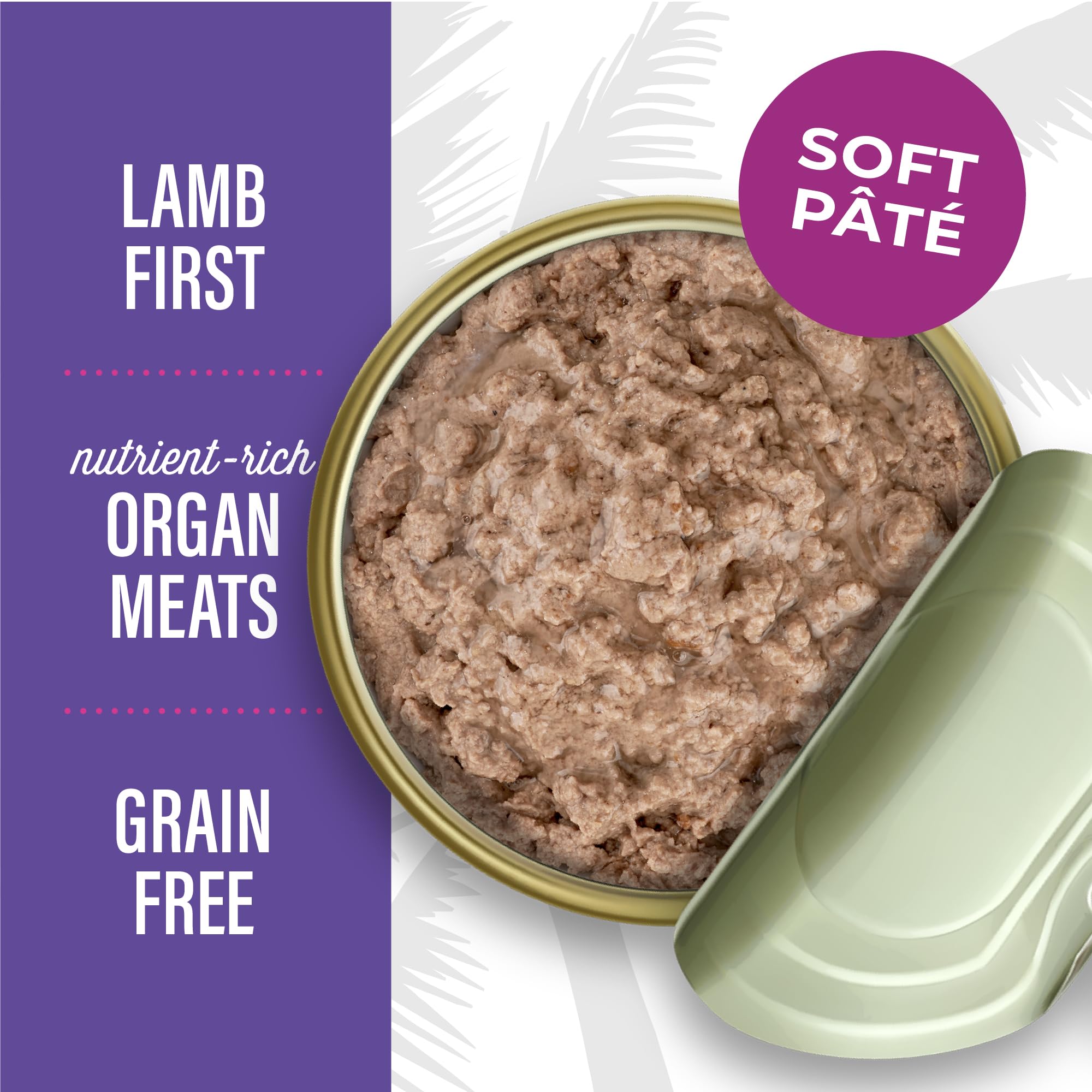 Tiki Cat After Dark pâté wet cat food served as a meal.