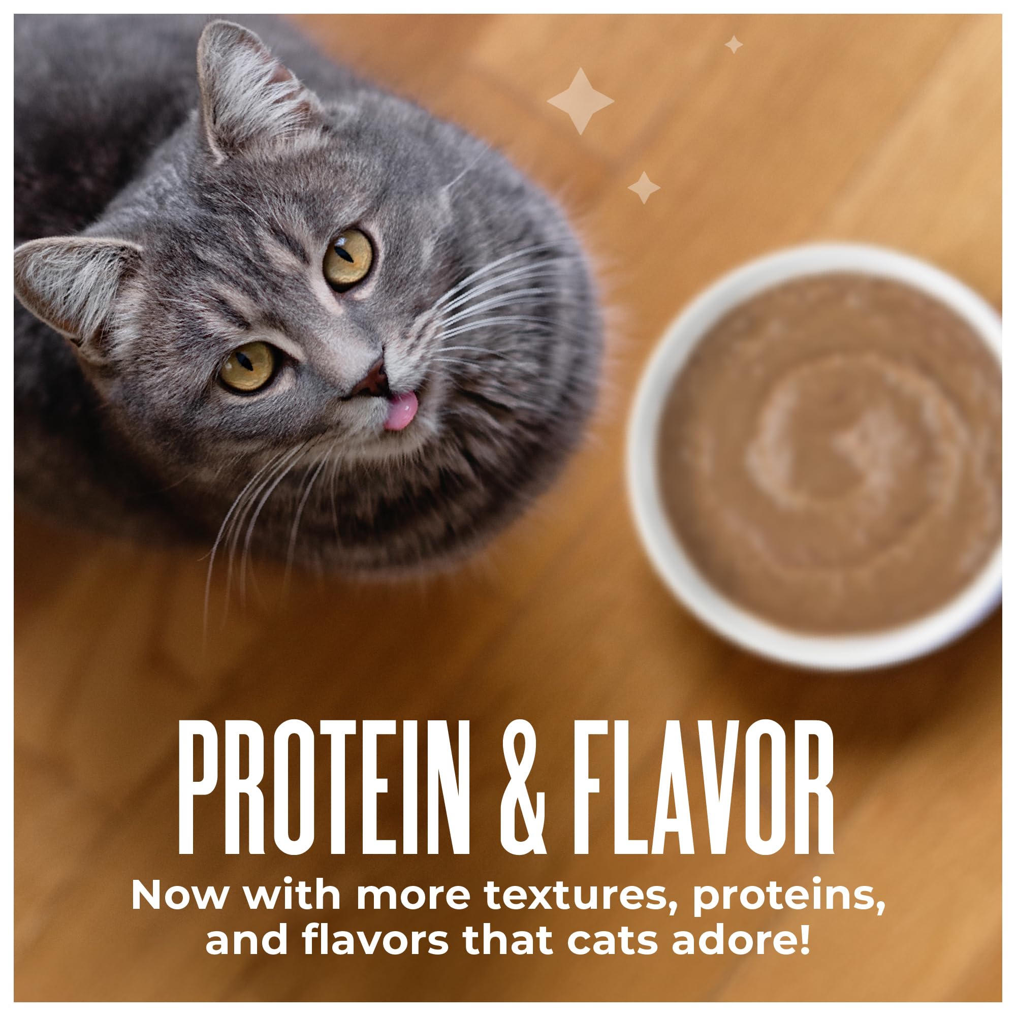 Tiki Cat Friends Mousse wet cat food with its pumpkin ingredient focus.
