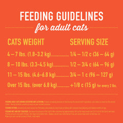 TIKI PETS Tiki Cat dry cat food with its chicken recipe focus.