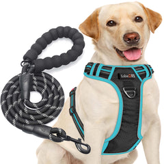 tobeDRI dog harness shown from the front in black and blue.