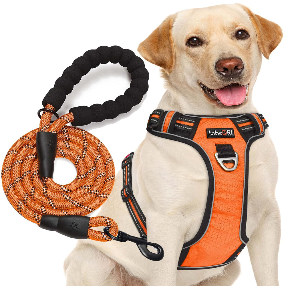 tobeDRI dog harness in orange shown from the front.