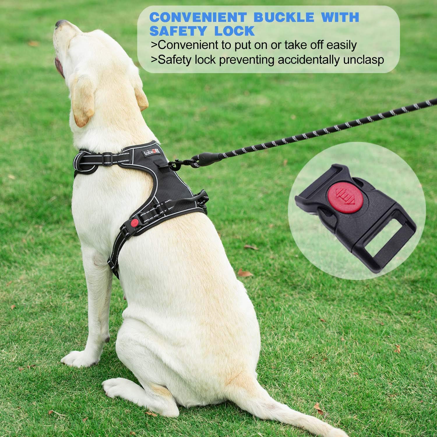 tobeDRI dog harness detail showing its reflective stitching.