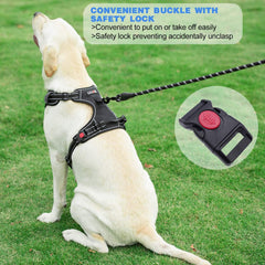 tobeDRI dog harness detail showing its reflective stitching.