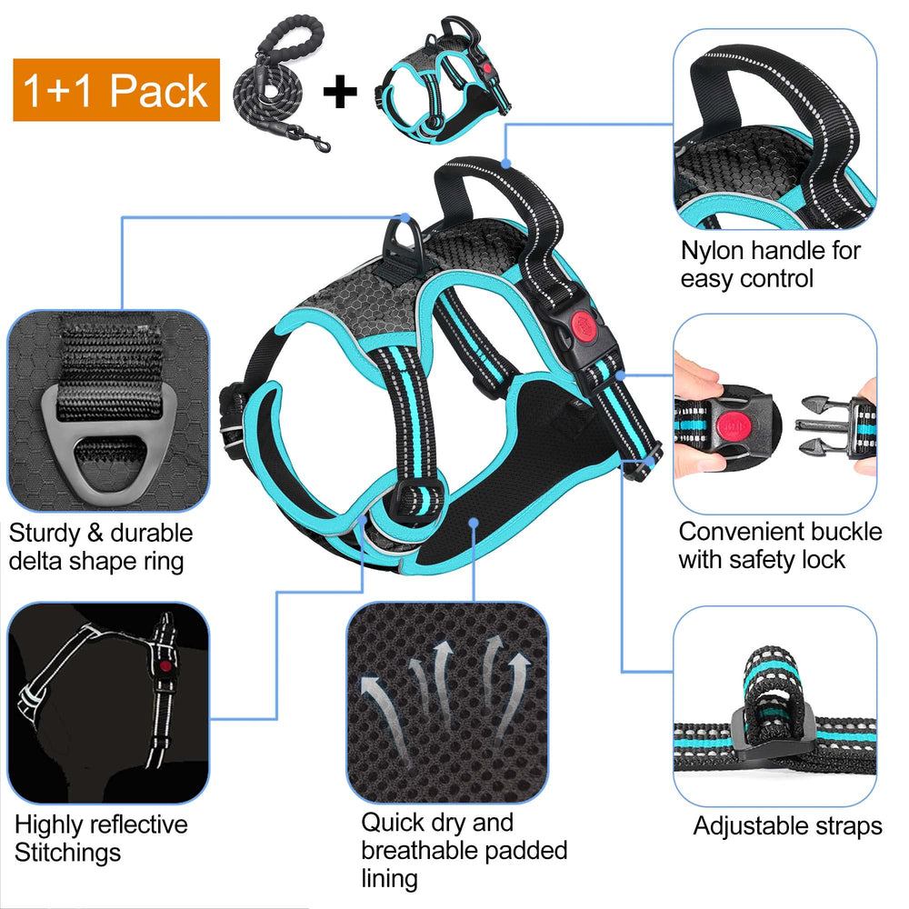 tobeDRI dog harness shown in use for a walk with a leash attached.