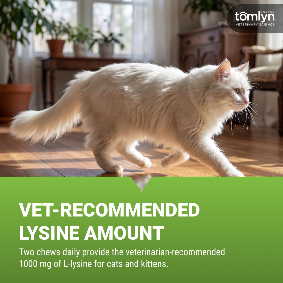 TOMLYN L-Lysine cat chews shown with the package back visible.