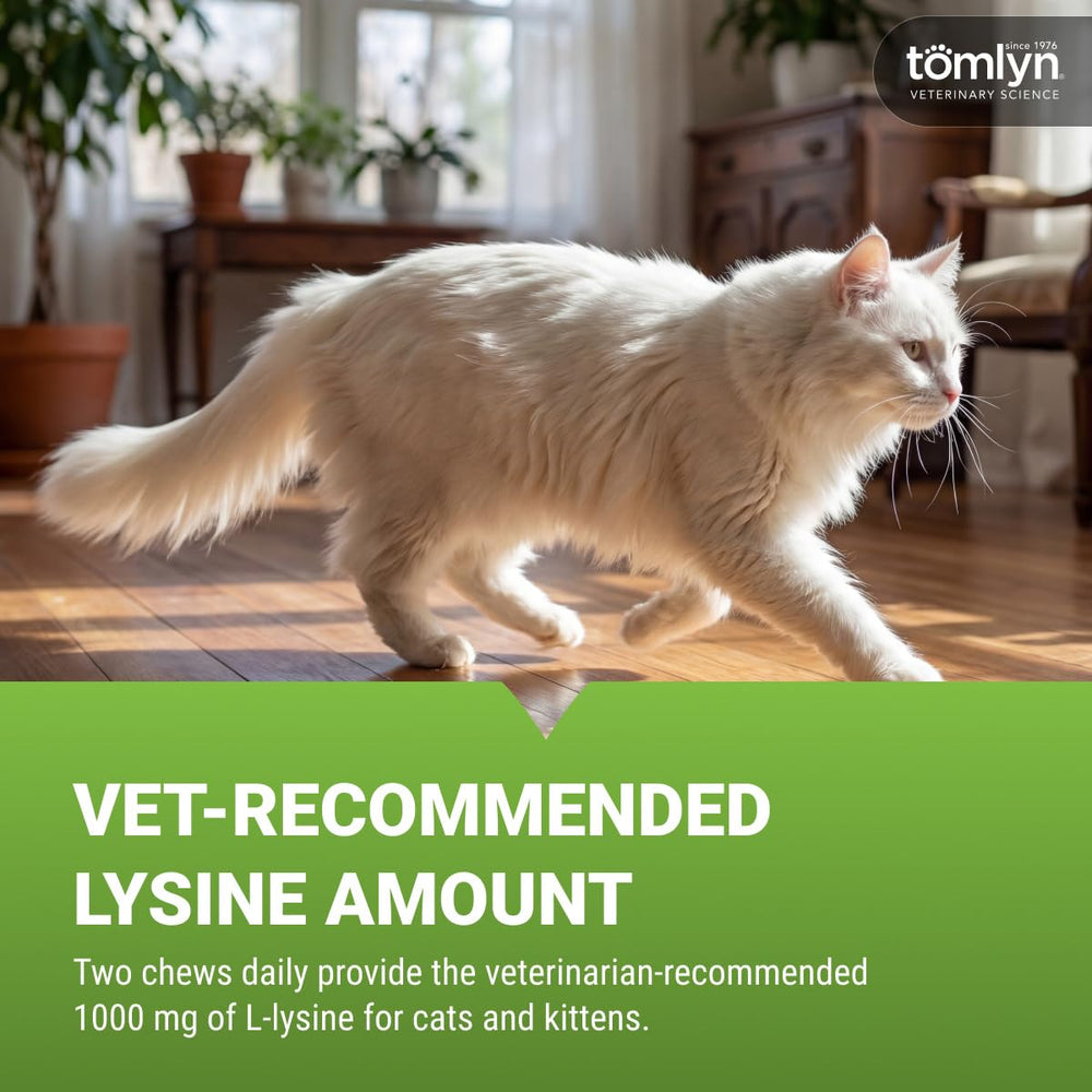 TOMLYN L-Lysine cat chews shown with the package back visible.