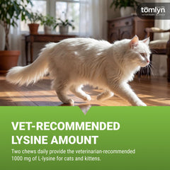 TOMLYN L-Lysine cat chews shown with the package back visible.