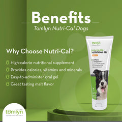 TOMLYN Nutri-Cal tube shown from the front.