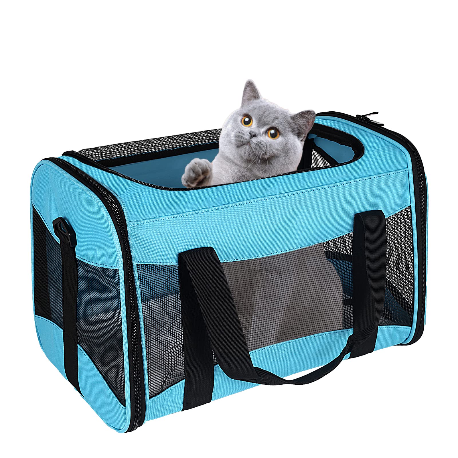 Top tasta Cat Carrying Case shown from the front in blue.