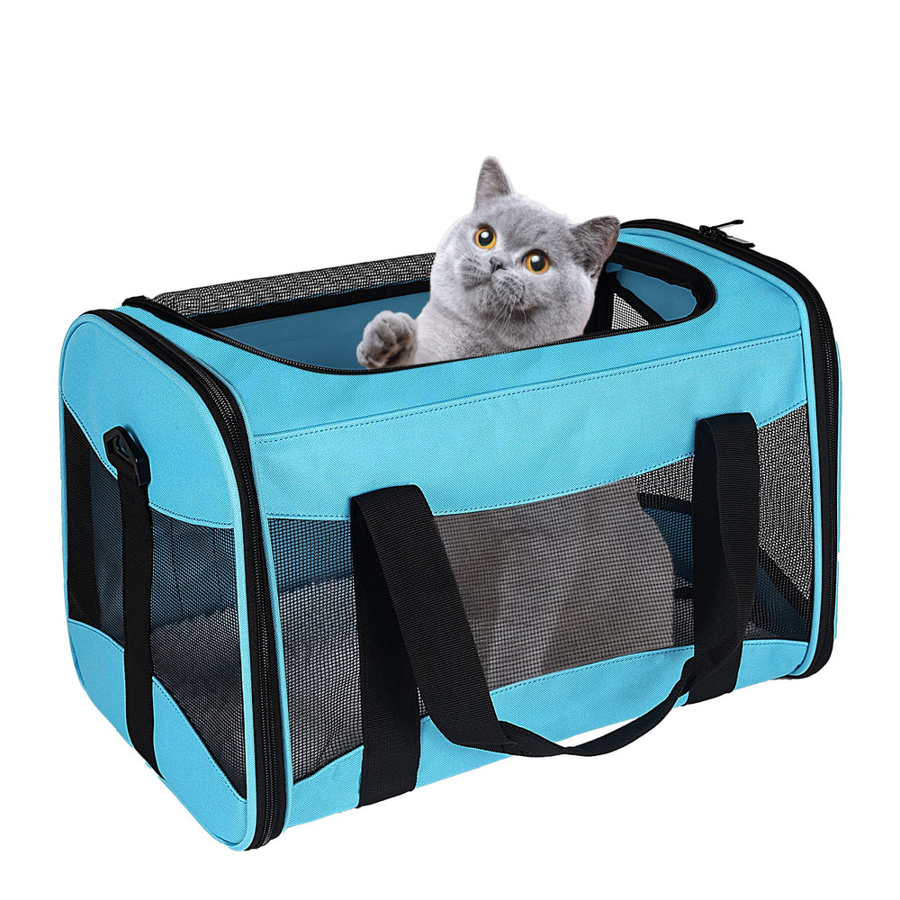 Top tasta Cat Carrying Case shown from the front in blue.