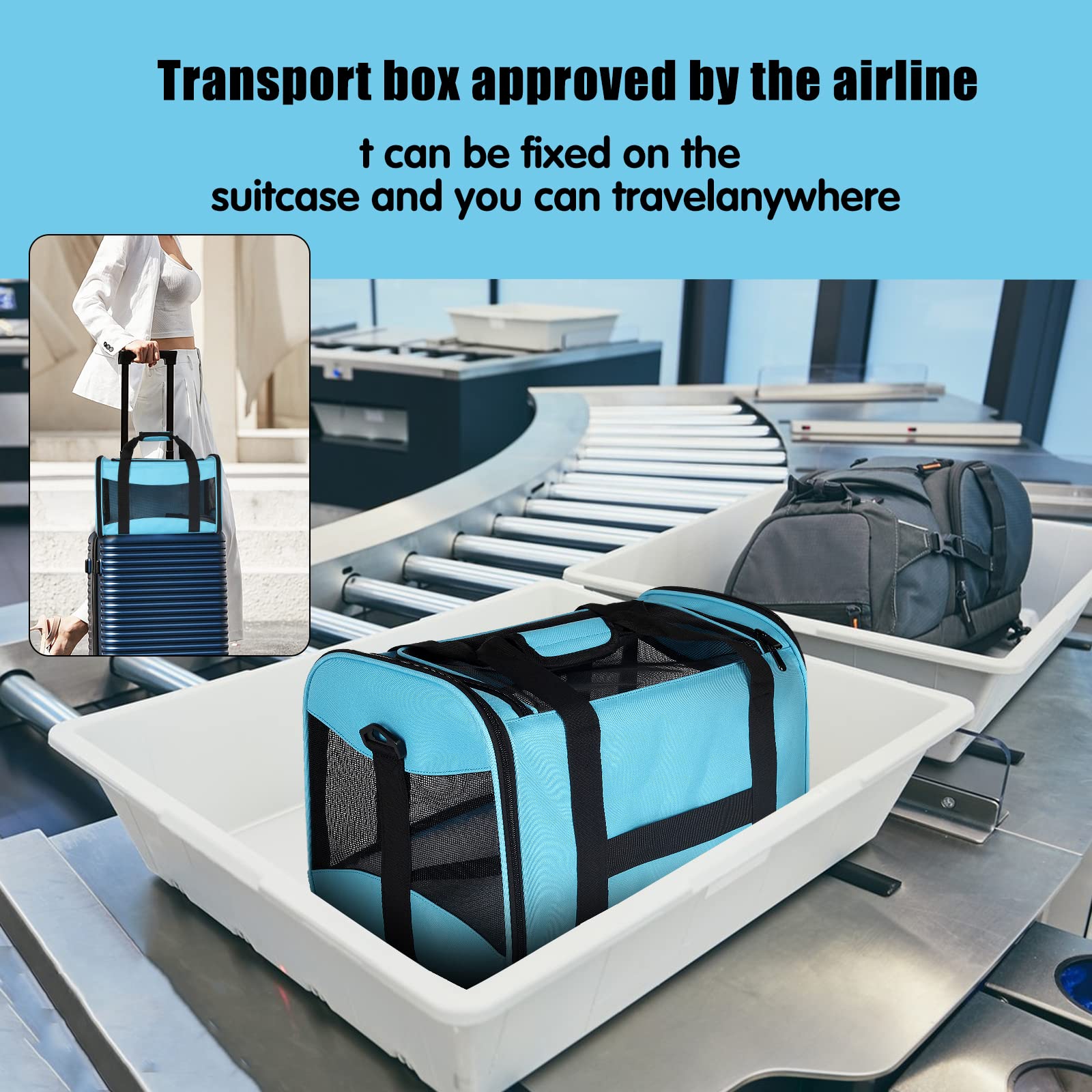Top tasta Cat Carrying Case shown with its removable pet bed.
