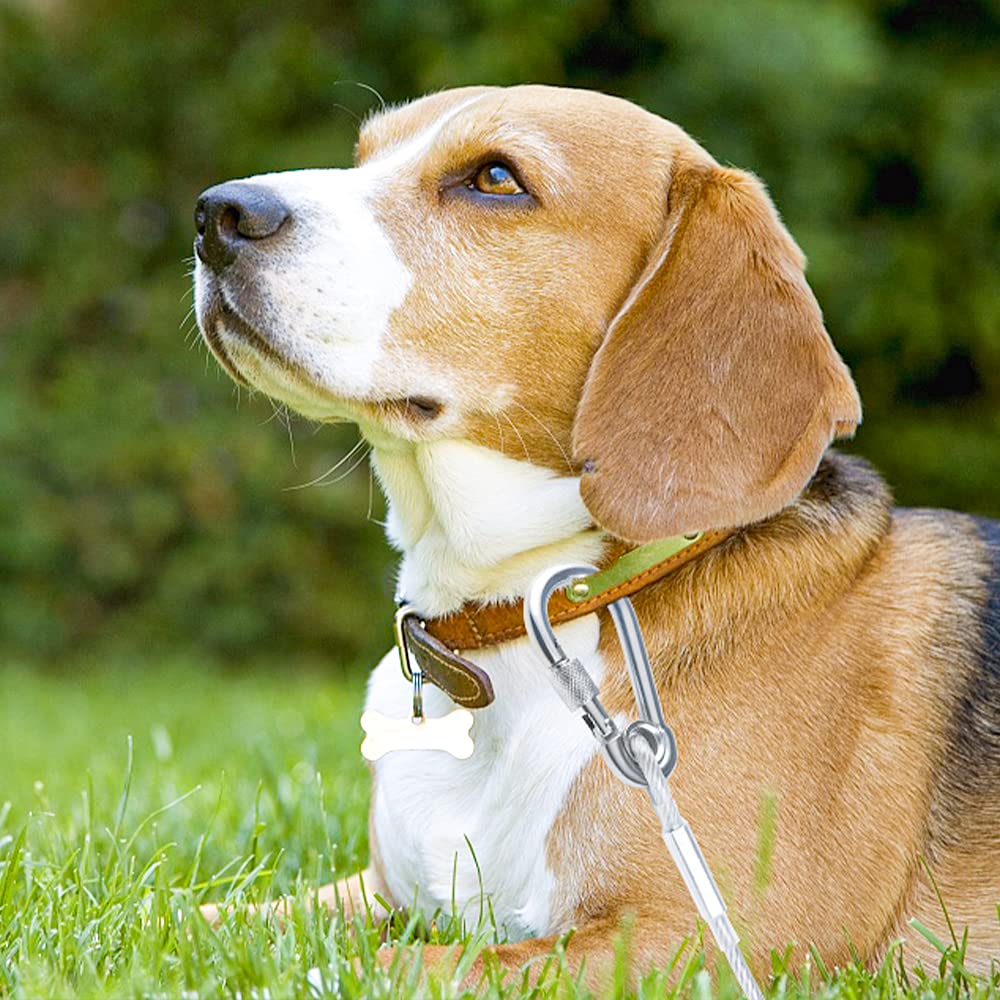 Tresbro dog tie-out cable connected between a dog and an outdoor anchor point.