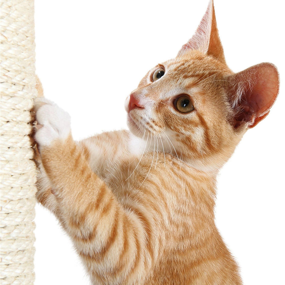 TRIXIE replacement sisal scratching post shown with its size reference.