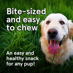 TRMC venison dog treats presented as bite-sized training rewards.