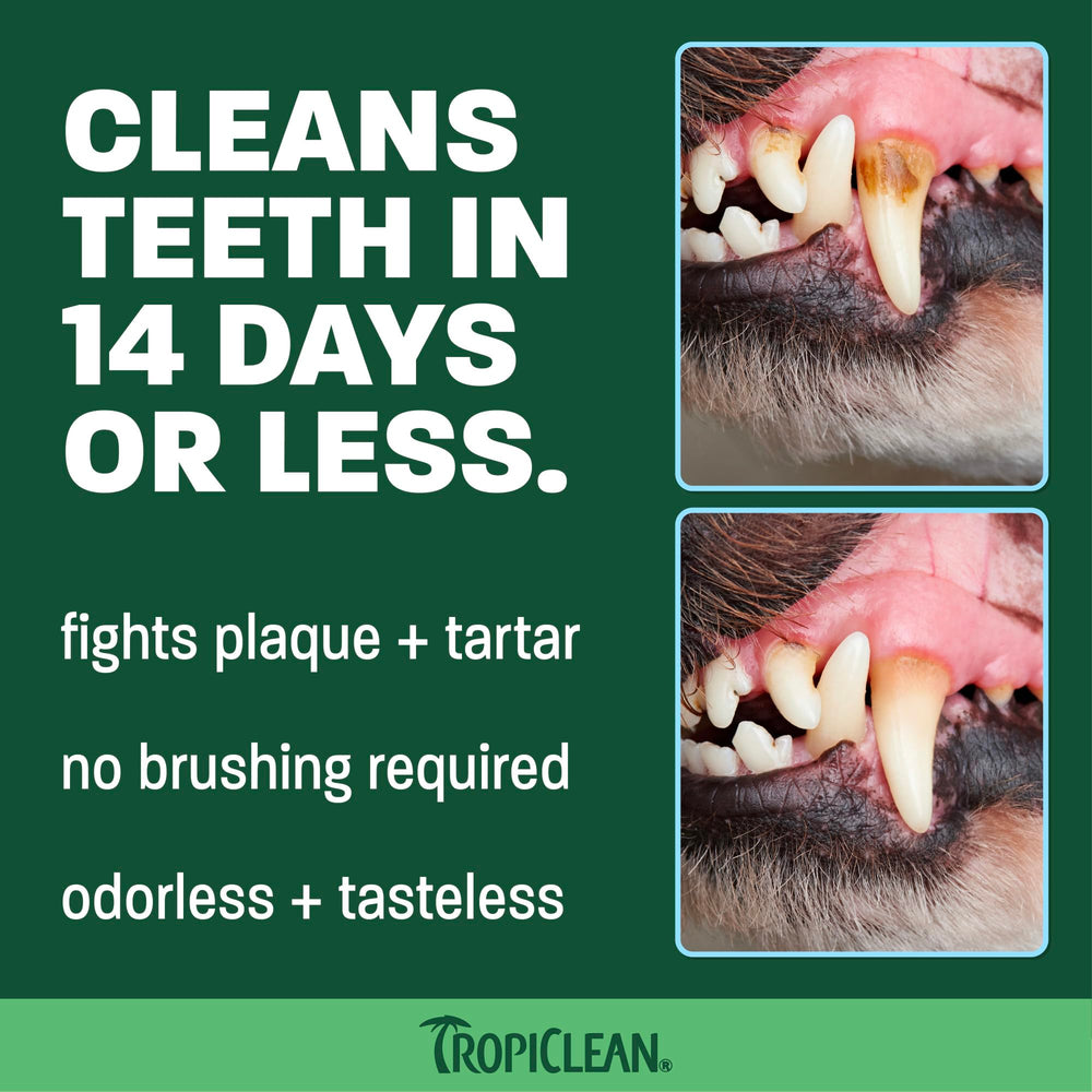 TropiClean Dental Water Additive bottle shown at an angle.