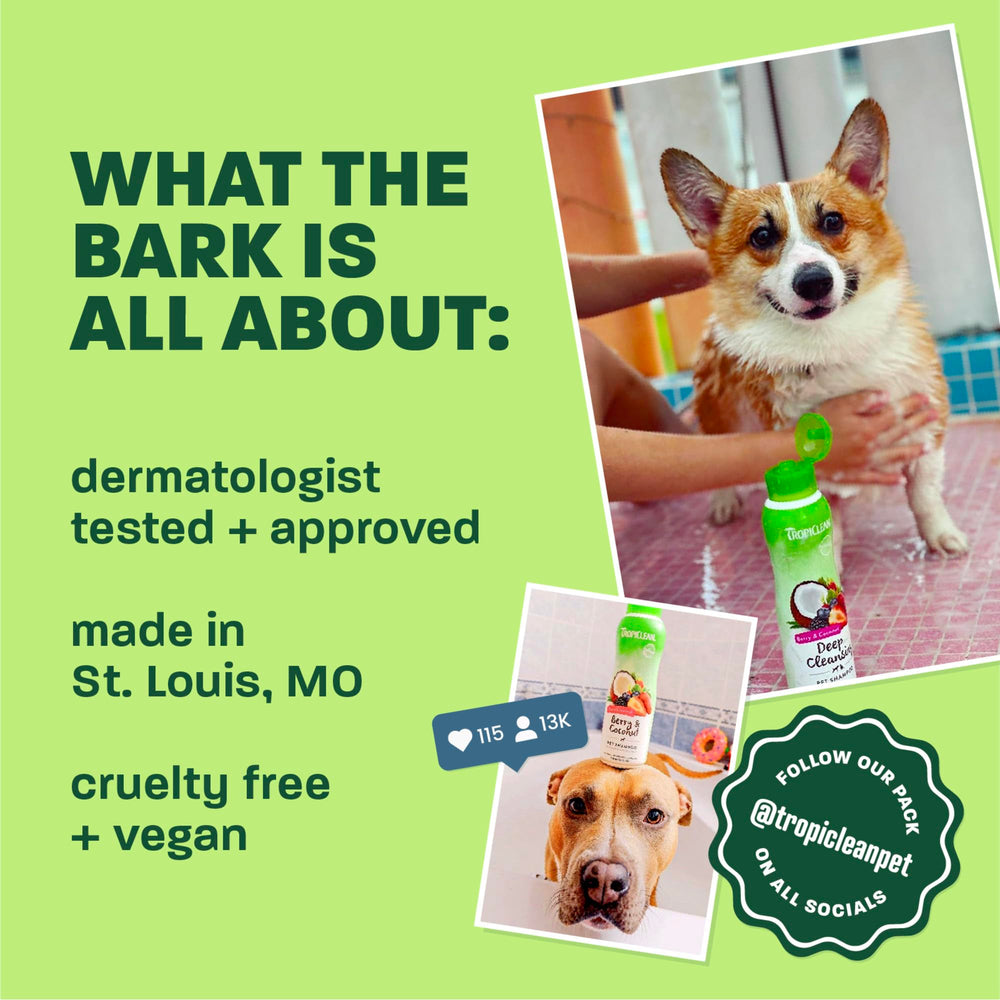 TropiClean deodorizing dog shampoo lather shown on a dog's coat.