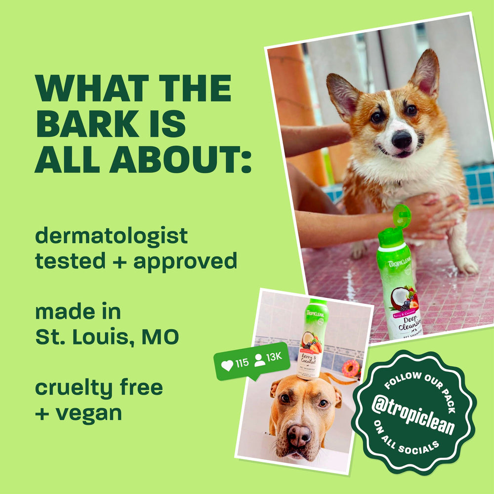 TropiClean Deshedding Dog Shampoo with ProVitamin B5 highlighted.
