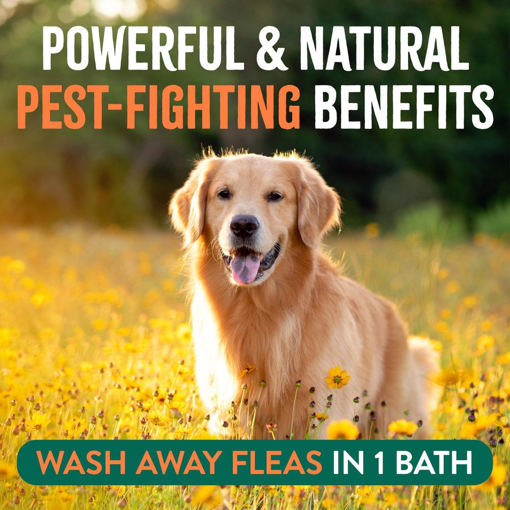 TropiClean flea and tick spray lightly misted onto a pet bed.