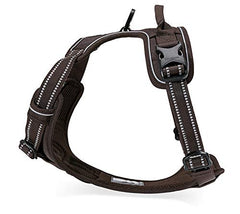 TRUE LOVE dog harness showing its two attachment locations.