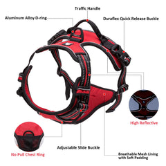 TRUE LOVE dog harness showing its back handle.