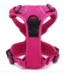 TRUE LOVE dog harness close-up showing the padded belly area.