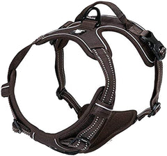 TRUE LOVE dog harness shown from the front.