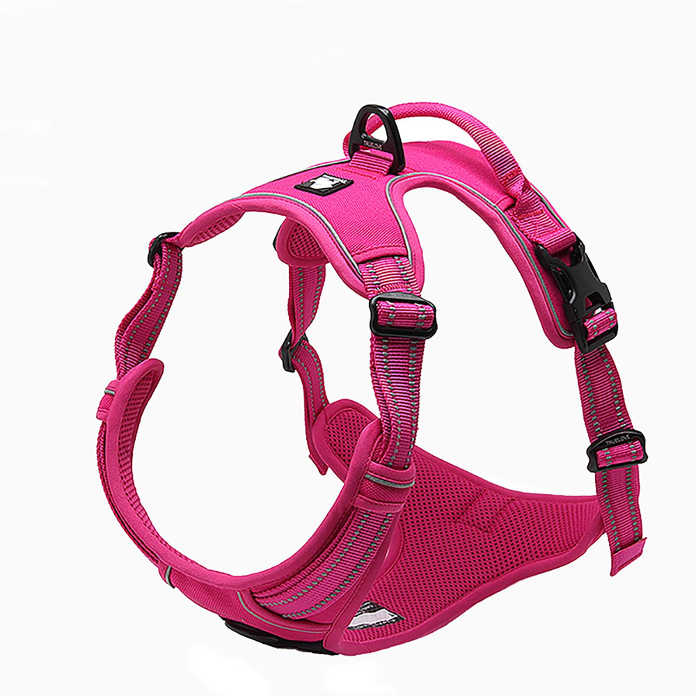 TRUE LOVE adjustable dog harness shown from the front.
