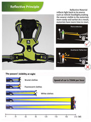 TRUE LOVE adjustable dog harness shown in its Fushcia color.