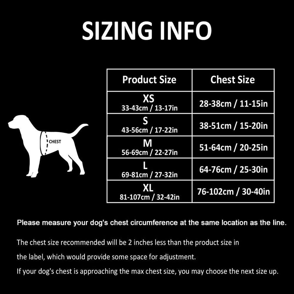 TRUE LOVE dog harness showing the soft chest and belly padding.