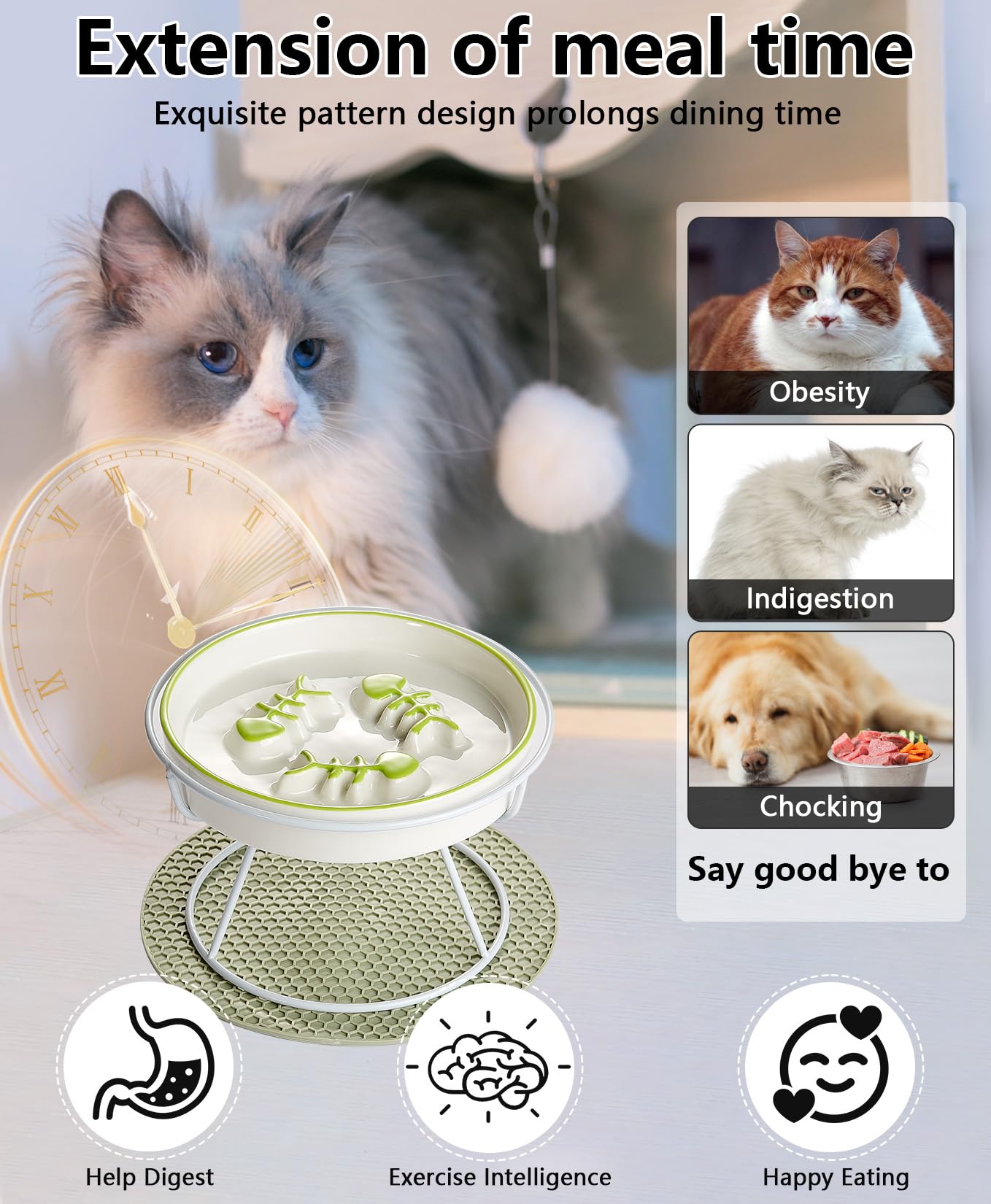 TRUNDISAN elevated ceramic slow feeder cat bowl shown from the side to show its shallow profile.