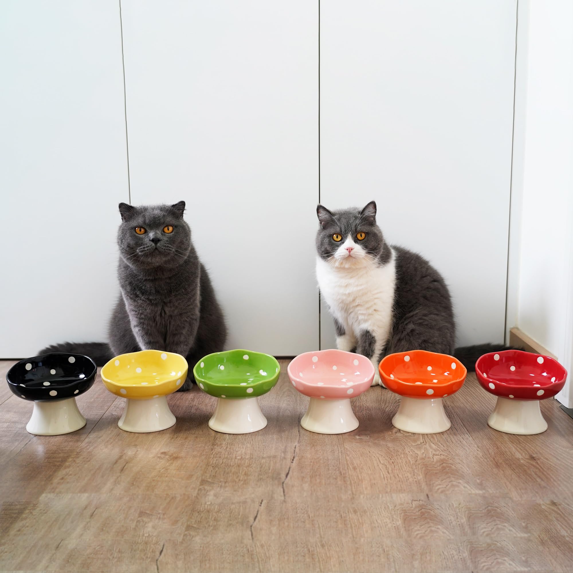 TRUNDISAN ceramic cat bowl shown holding food or water.