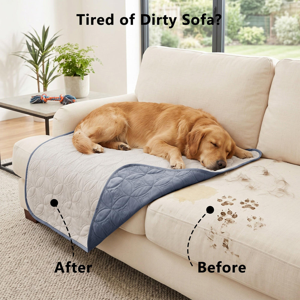 Tuffeel dog couch cover showing its blue side.