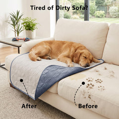 Tuffeel dog couch cover showing its blue side.