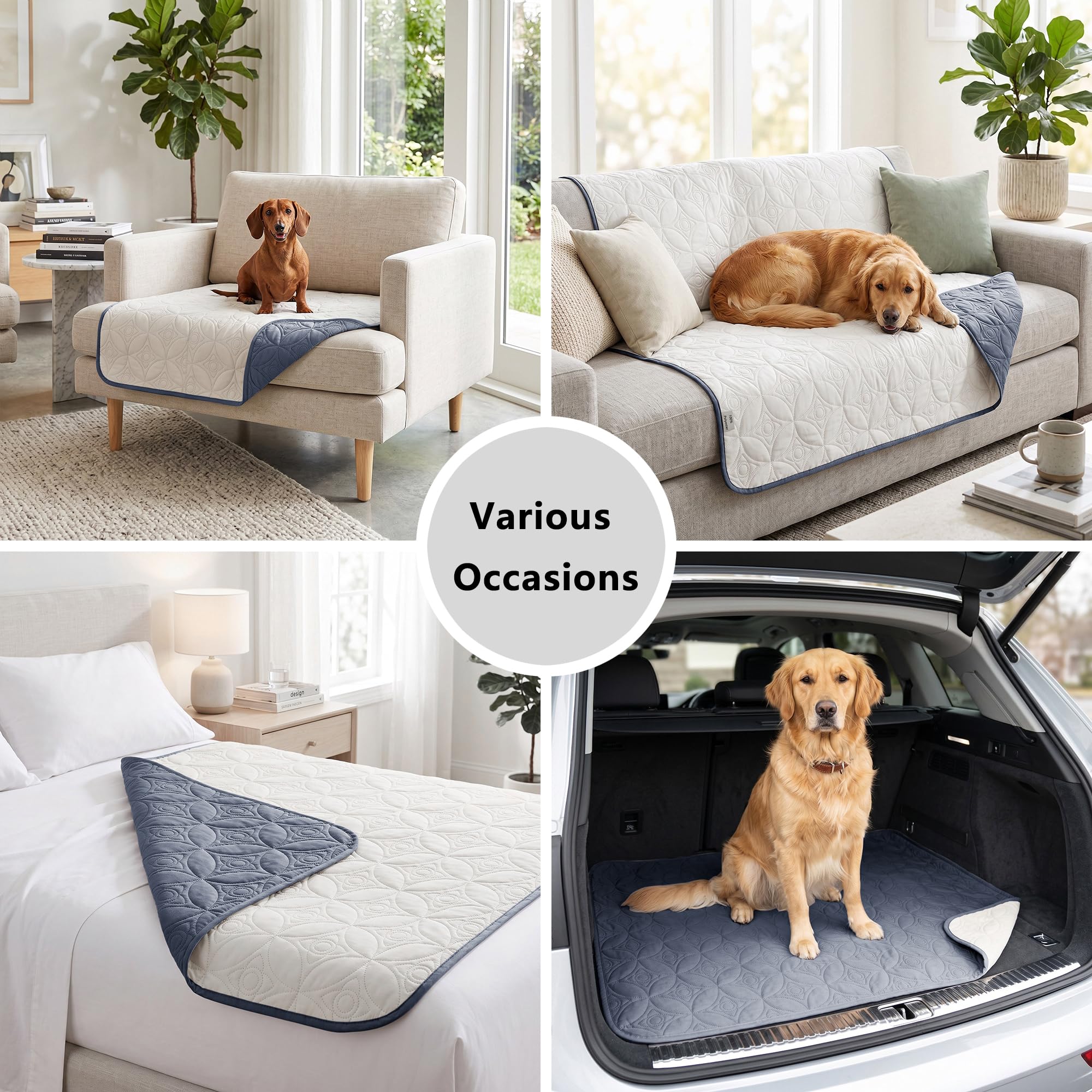 Tuffeel dog couch cover arranged on a chair.