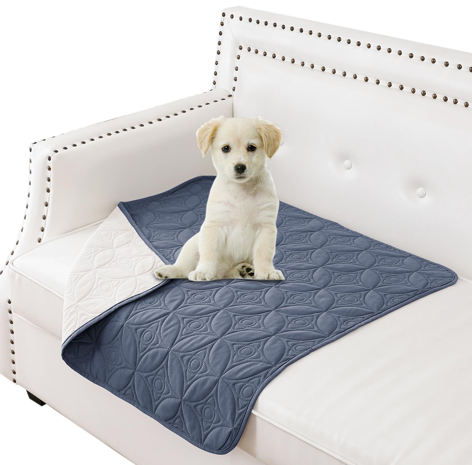 Tuffeel dog couch cover shown from the front.